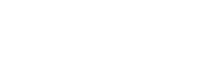 invindia-touzinat 1